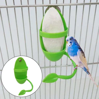 Uygun Besleyici Malzemeleri Evcil Besleme Kafes Papağan Besleyiciler Plastik Gıda meyve tutucu Ev Evcil Kuşlar Malzemeleri Sıcak Satış