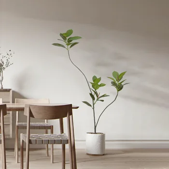 Yüksek simülasyon kauçuk banyan ev, kapalı oturma odası, yerden yere, saksı bitki dekorasyon, İskandinav tarzı, bonsai ile