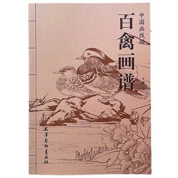 Çin Çizgi Çizim Yazma Boyama albümü Titiz Boyama Hayvan Meyve Sebze Dövüş Sanatı Karakterler Hattı Taslak Kitap